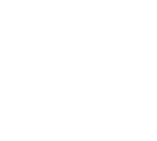 Bitlayer